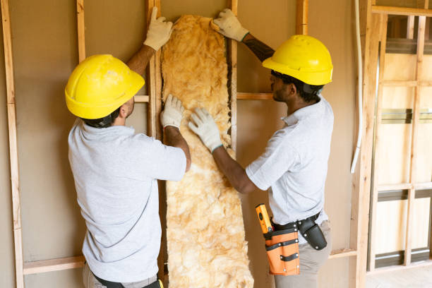 Best Insulation for New Construction  in Sunset, LA